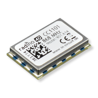 radino40 CC1101