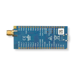 radino40 Spider RP-SMA