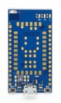 radino-spider top.jpg
